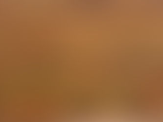 בֵּין פְּסִיחוֹת חַיַּי