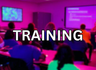 Vibe Environmental training and compliance services