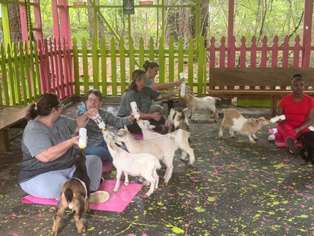Party Like a GOAT: Private Goat Party Ideas for Alabama Birthdays & Gatherings