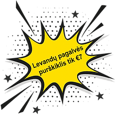 kaina pagalves purskiklis.png