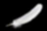 Feather Background