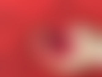 un anillo sobre una rosa roja