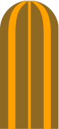 cactus.png