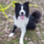 269829095_4825124864241777_5434604238970612652_n