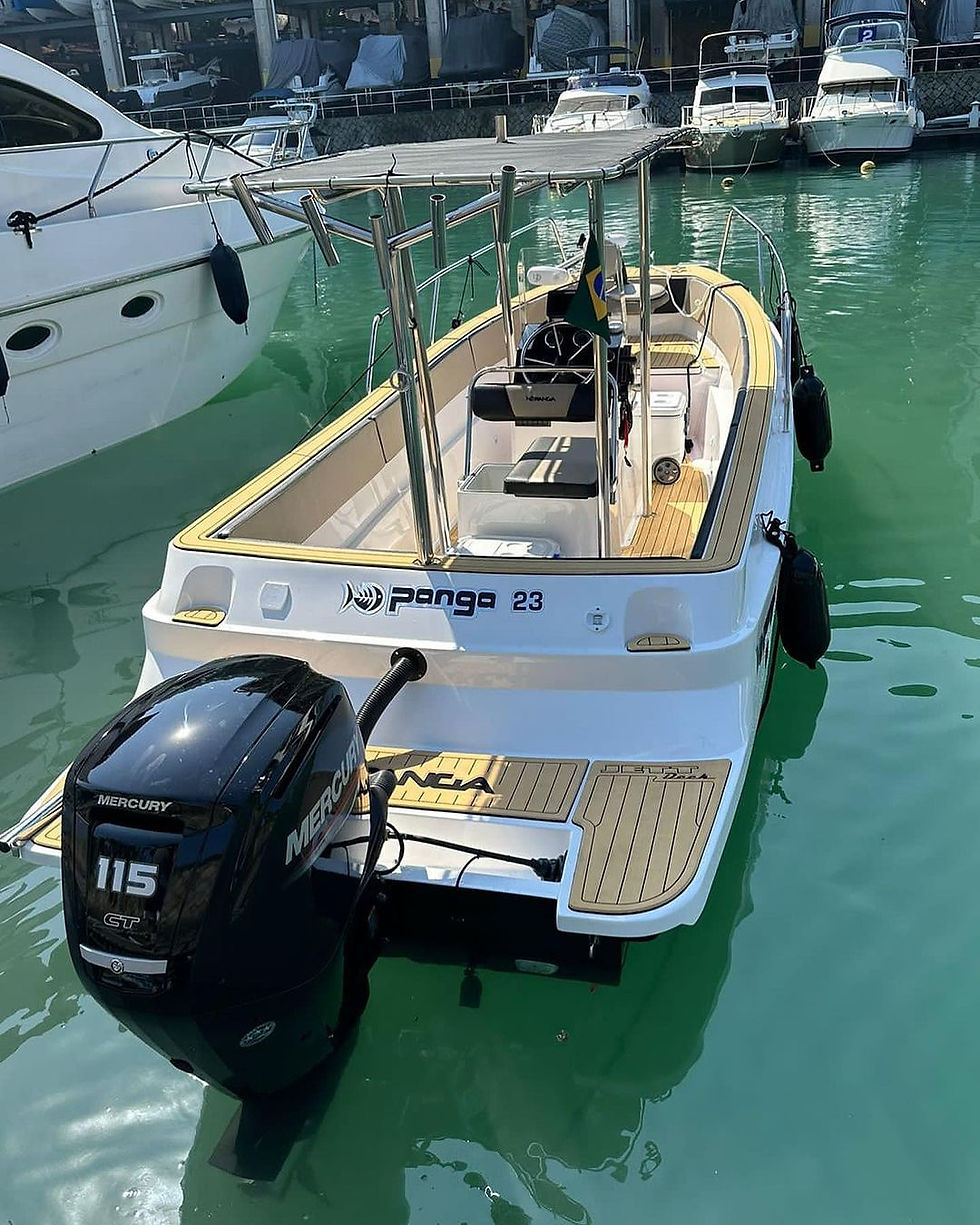 Миниатюра: MERCURY 115 HP (CT) ELPT-EXLPT-ECXLPT BÜYÜK