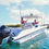 Thumbnail: MERCURY S 300 HP V8 (SEAPRO) (CMS) -XL/CXL-DTS