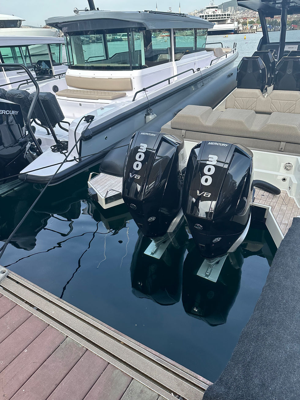 Küçük resim: MERCURY F 300 HP V8 L/XL/CXL/XXL DTS CMS