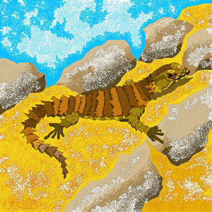 Vivid Wildlife Illustrations
