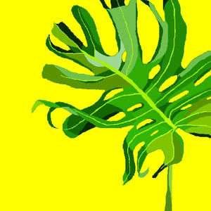Vibrant Nature Illustrations