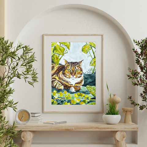 Pet Portraits