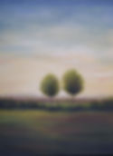 Morning 24 x 26