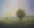 Tranquille 40x48