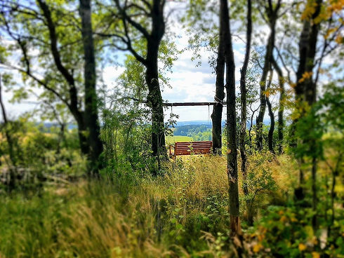 Dippersreuth Berg 6