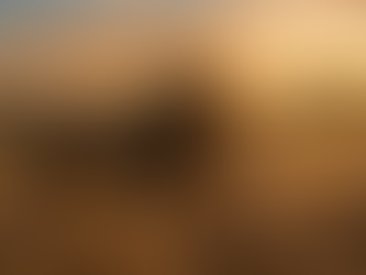 The War of the Ordinary: Stop Waiting for "Perfect"