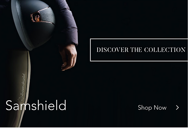 Screen Shot 2023-04-11 at 3.38.49 PM.png