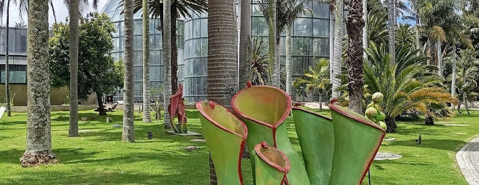 Especie vegetal frente al Tropicario, espacio dedicado a conservar ecosistemas. Crédito: Tripadvisor