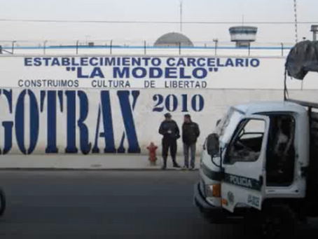 Bogotrax: 20 años de agitación cultural, tecnología libre y revolución sensible