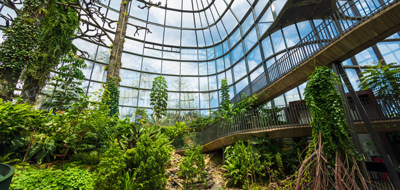 Interior del Tropicario, donde distintos ecosistemas del país se recrean. Crédito: JJB.COM
