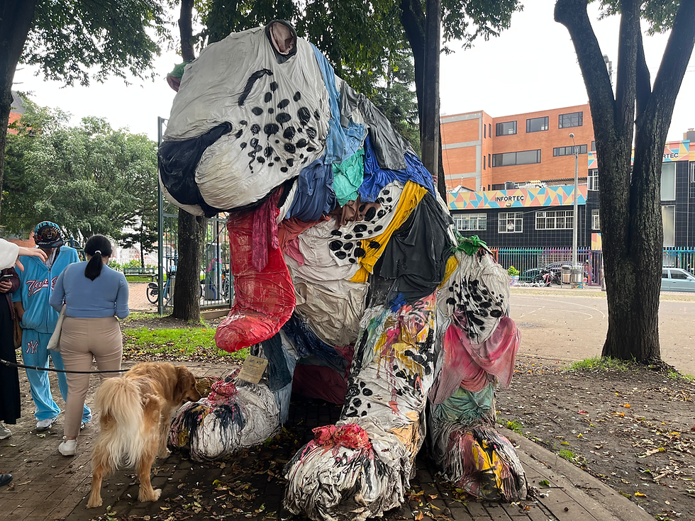 Parque Distrito San Felipe