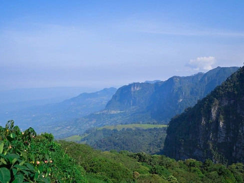 Panorámica desde uno de los senderos, donde la neblina y el verde dominan. Crédito: Tripadvisor.