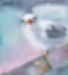 Seagull illustration by Essex Artist Emma Wren