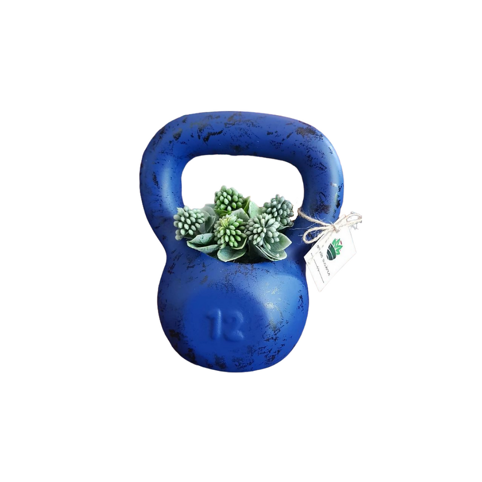 Kettlebell Azul Manchado