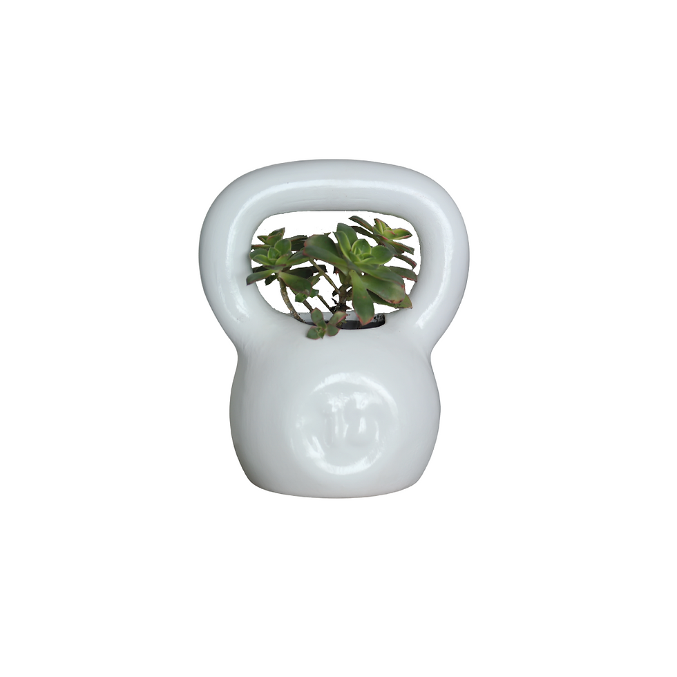 Miniatura: Kettlebell colorido