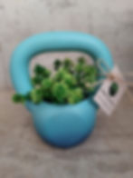 Kettlebell dégradée