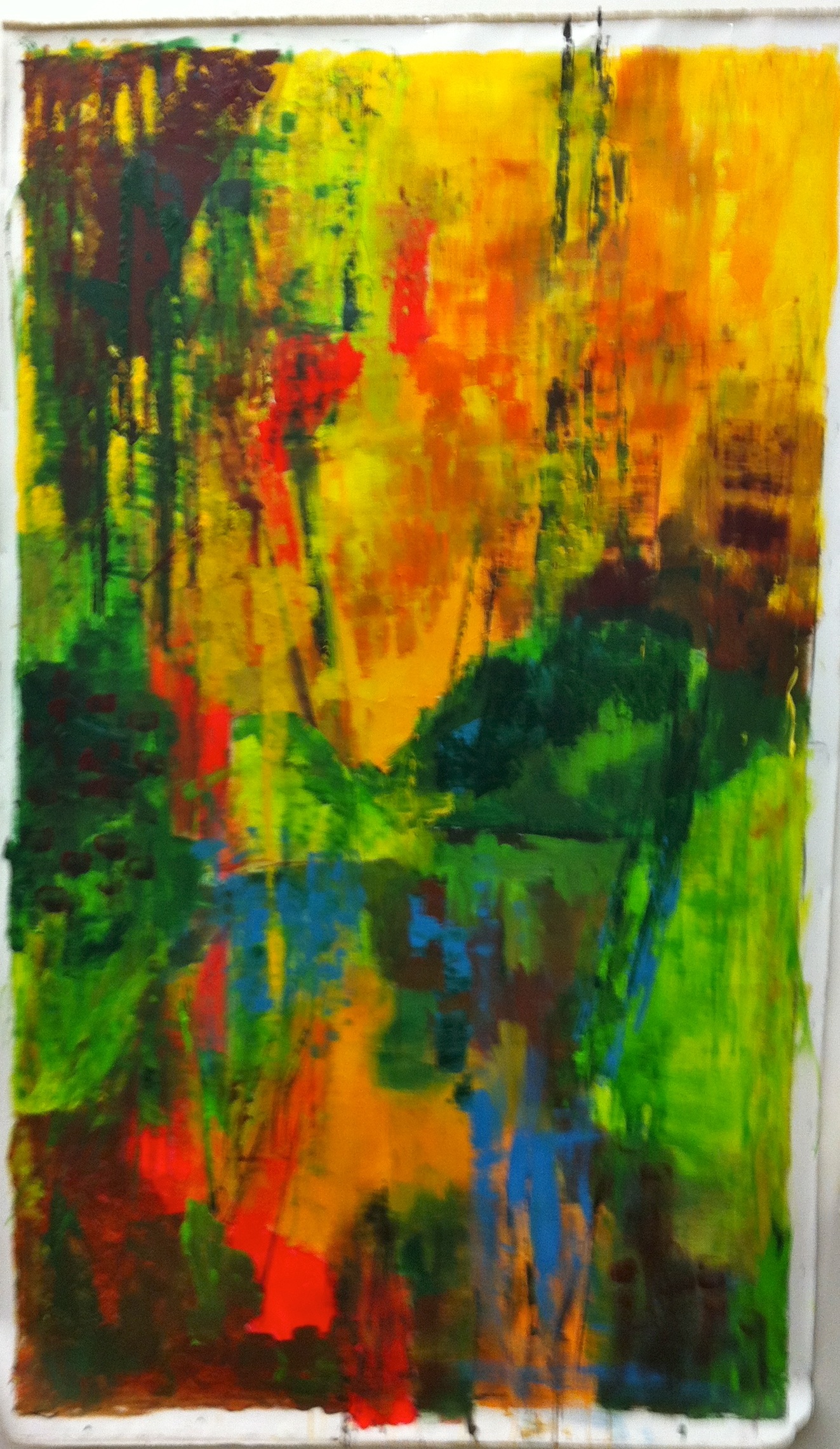 Rain forest 2019