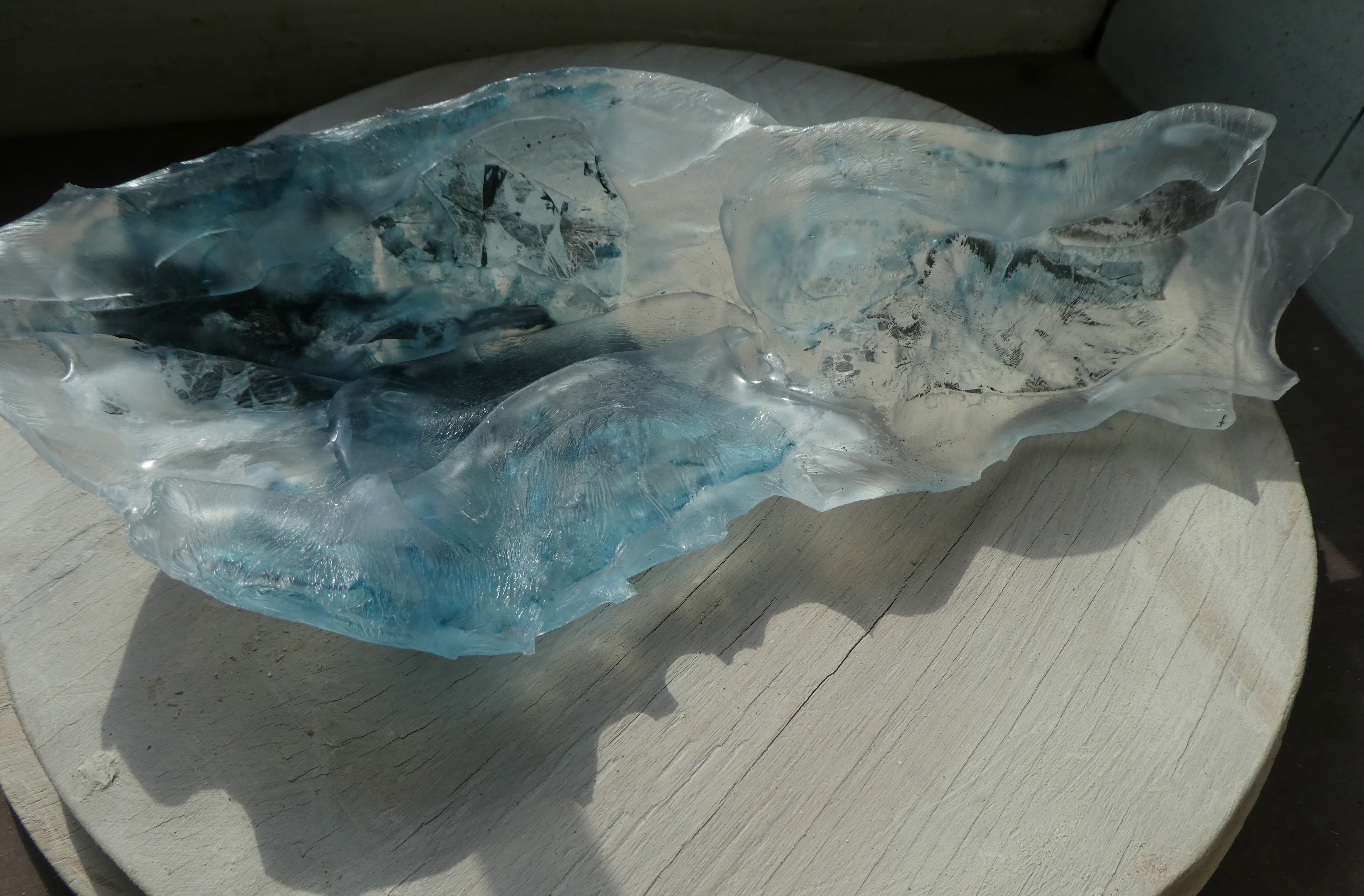 Poisson bleu 2019