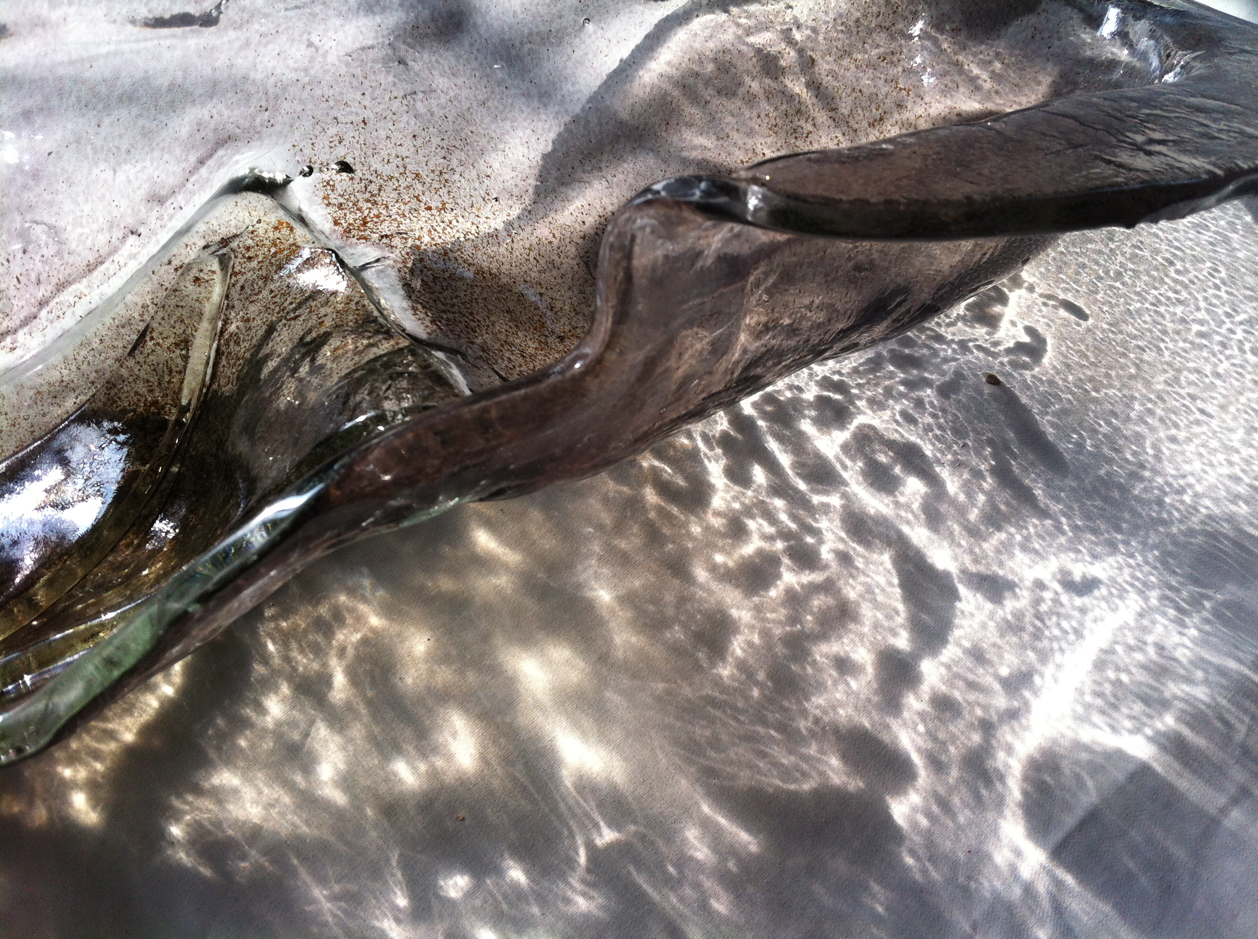 Coquillage 2019