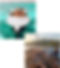 Events Collage pic.jpg