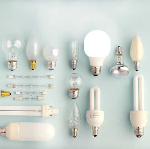 Bulbs