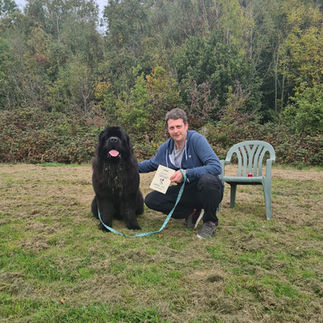 Dog at gold dog training class Southampton