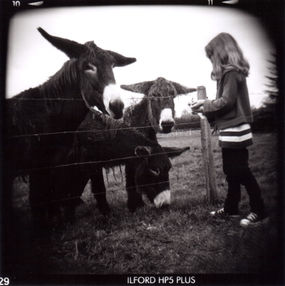 1629-11 Anaïs et les 3 ânes.jpg