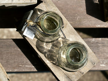 Small bottles in a holder (Catching sun)