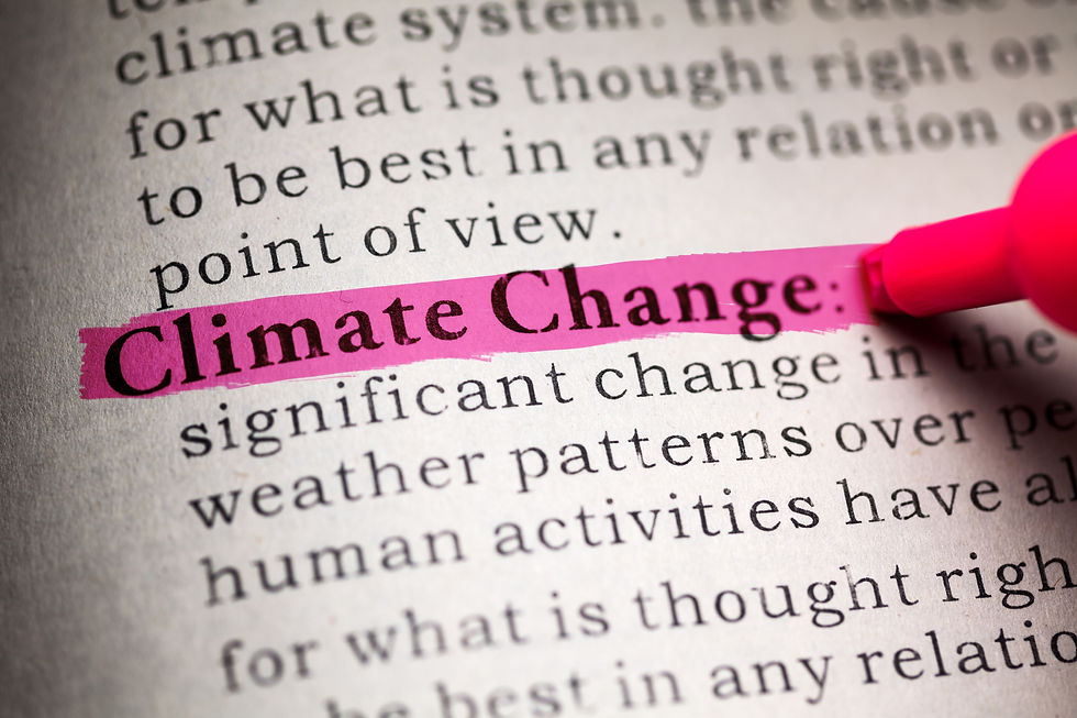 Climate change defined in a dictionary.