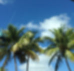 Marco Island