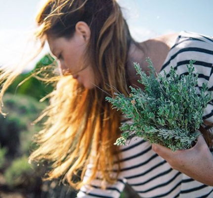 Screen Shot 2019-07-25 at 10.19.17 AM.png