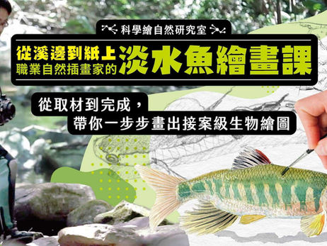 🌟 會員推廣｜李政霖－用一支畫筆，帶你看見溪流裡的魚