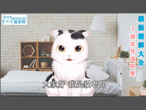 會員推薦~猫島羽依