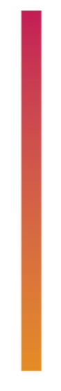 website divider.png