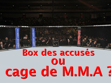 PREJ de LILLE : Box des accusés ou cage de M.M.A ?