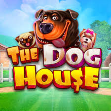 the dog house