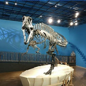 Museum of the Red River in Idabel Hochatown Brokenbow Beavers Bend