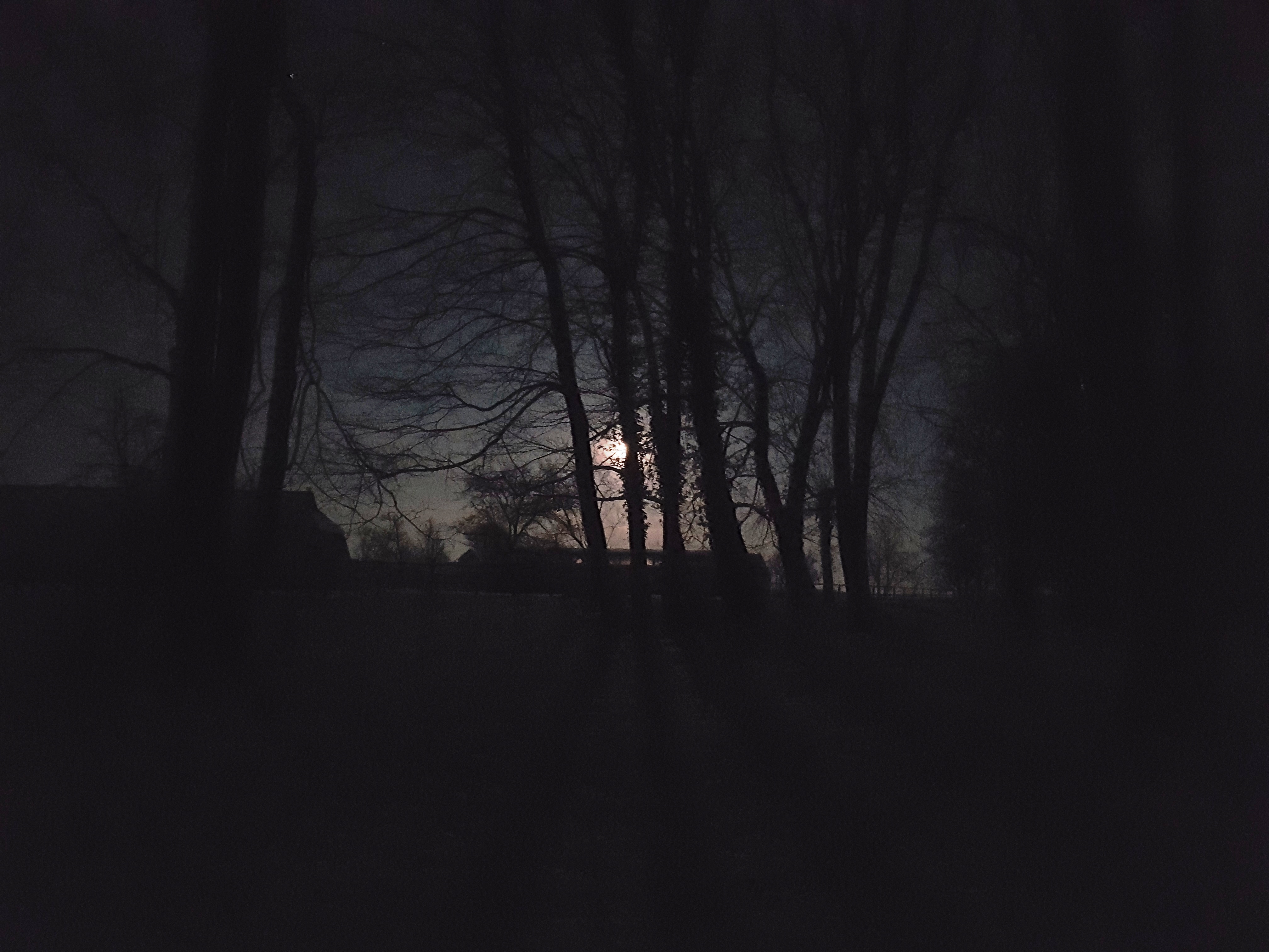 20180401_221123
