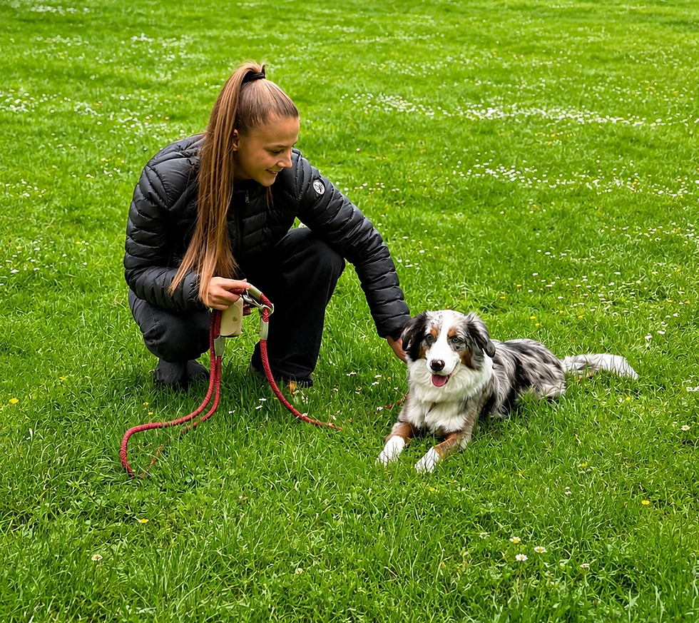 Éducatrice canin comportementaliste à Douai avec un chien.