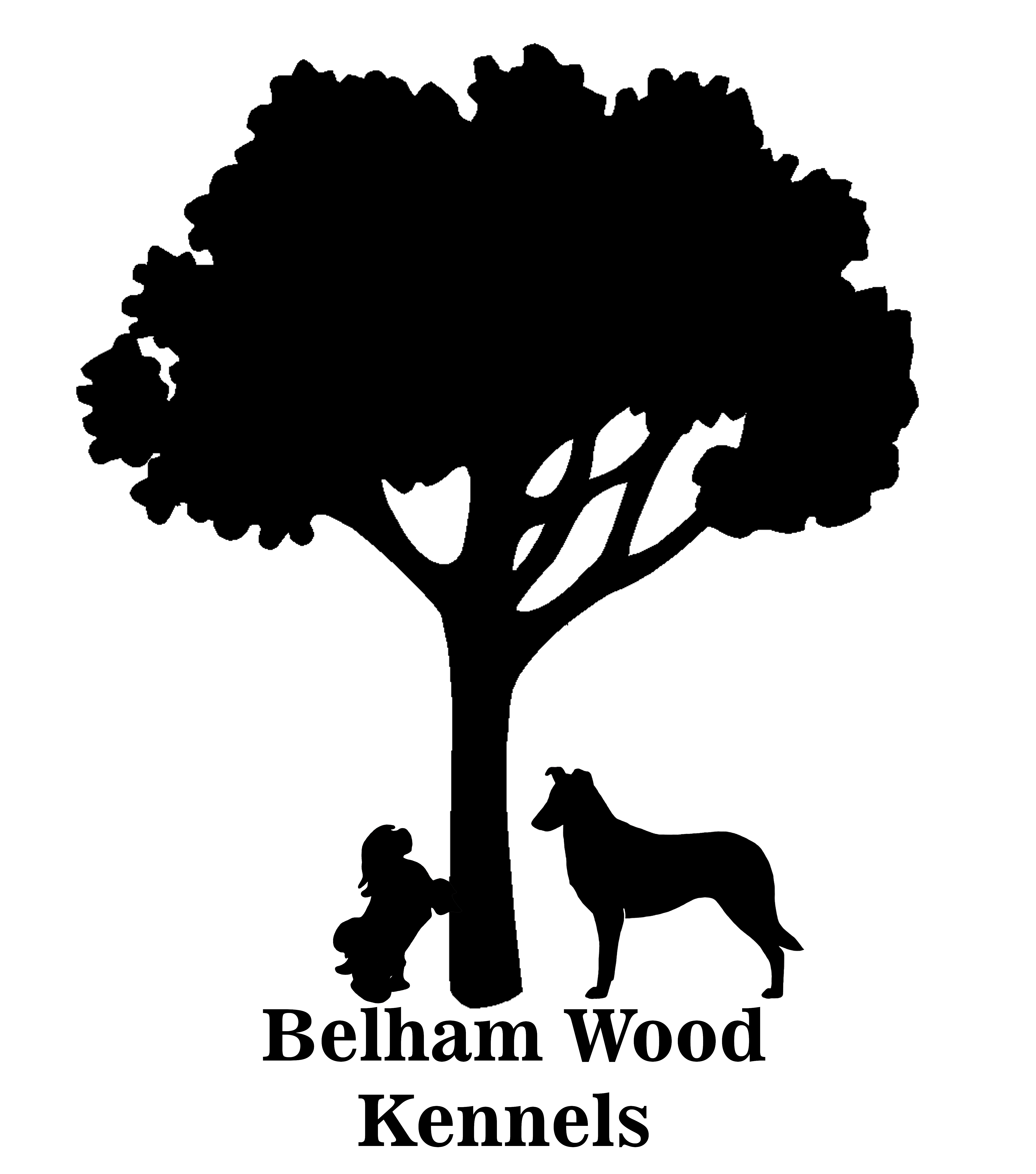 Boarding Kennels Peterborough