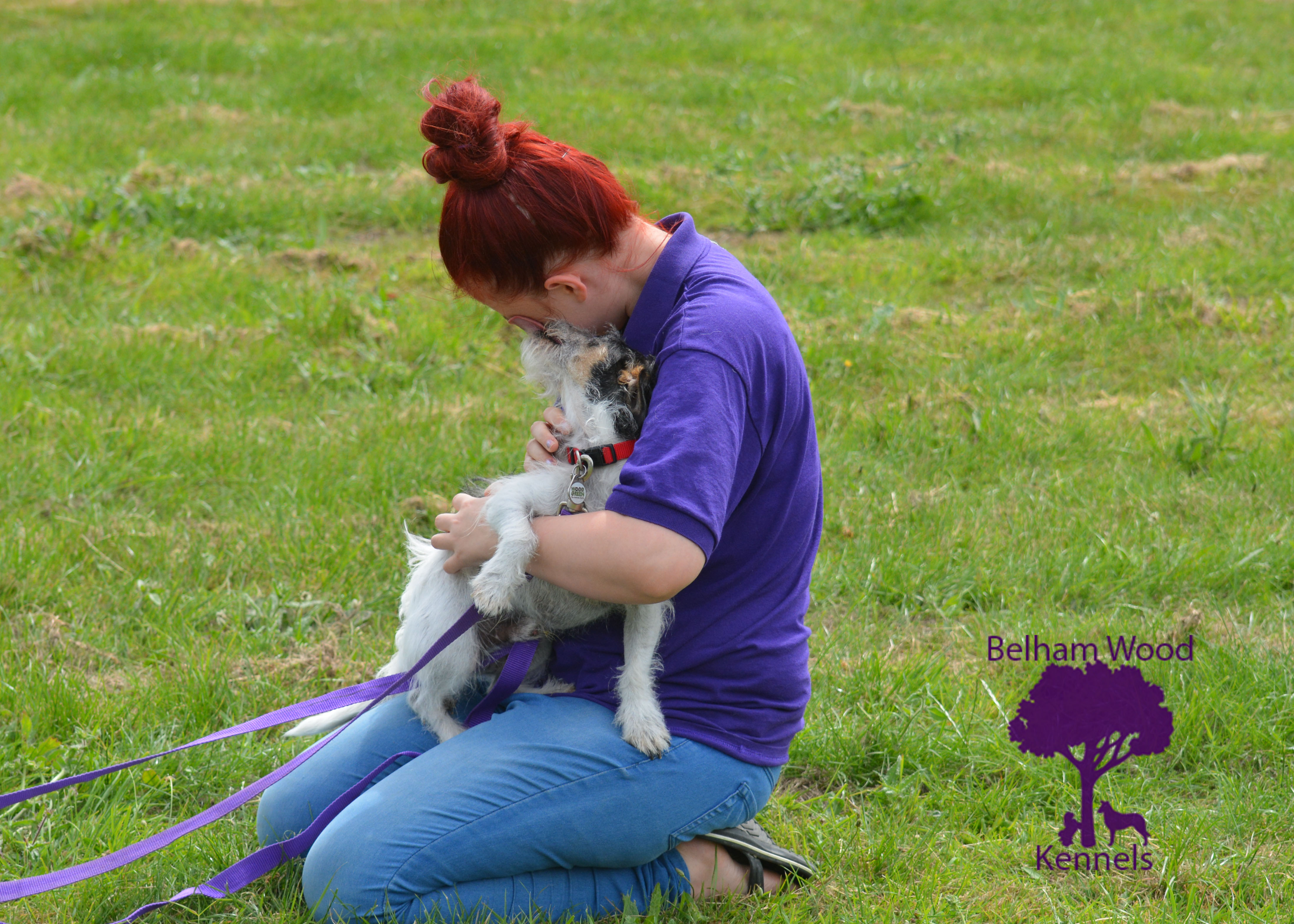 Boarding Kennels Peterborough