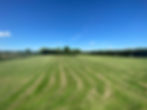 Our field at belham Wood Kennels